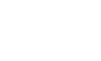 B&Q – We Will Grow Again